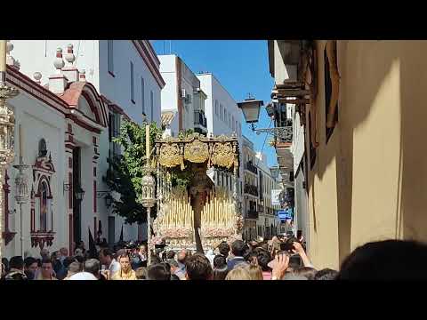 Real, Ilustre, Antigua, Fervorosa y Franciscana Hermandad Sacramental y Cofradía de Nazarenos del Santo Sudario de Nuestro Señor Jesucristo, Santísimo Cristo del Buen Fin, Nuestra Señora de la Palma Coronada, San Francisco de Asís y San Antonio de Padua