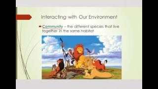 Intro to Ecosystems