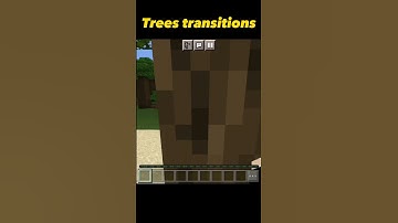 Smooth Minecraft Transitions #minecraft #transition