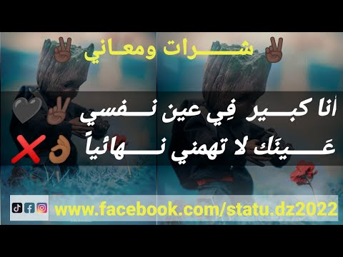 ستاتي شرات ومعاني 