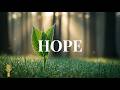 Soft Guitar Music for Relaxation | Calm Your Mind &amp; Feel Hope Again | Music for Deep Focus