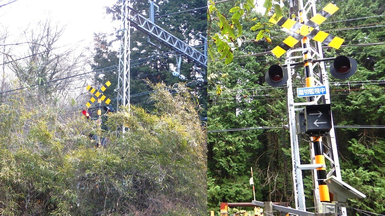 【踏切】小田急小田原線　遂に到達！秘境踏切 (Railroad crossing in Japan)