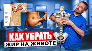 видео: Убираем ЖИР С ЖИВОТА и рёбер | Подтягиваем живот через работу с прямой мышцей живота картинка: Убираем ЖИР С ЖИВОТА и рёбер | Подтягиваем живот через работу с прямой мышцей живота