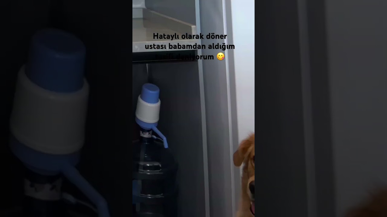 Hayatlı olarak döner ustası babamdan aldığım tarifi deniyorum ????