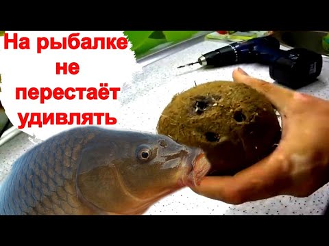 ЛОВИ ВСЮ ОСЕНЬ. СЕКРЕТ КЛЕВА ОТ ХИТРЫХ РЫБАКОВ. Насадка для карася. Насадка для рыбалки.