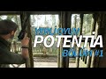YERLİ VE MİLLİ TÜRKÇE SESLENDİRMELİ HİKAYE OYUNU! | POTENTIA [BÖLÜM 1] #yerlioyun