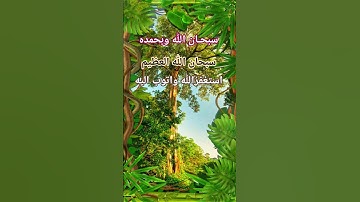 #سورة_الإخلاص #قرآن #تيك_توك #المصحف #راحة_نفسية #اكسبلور #دويتو #لايك