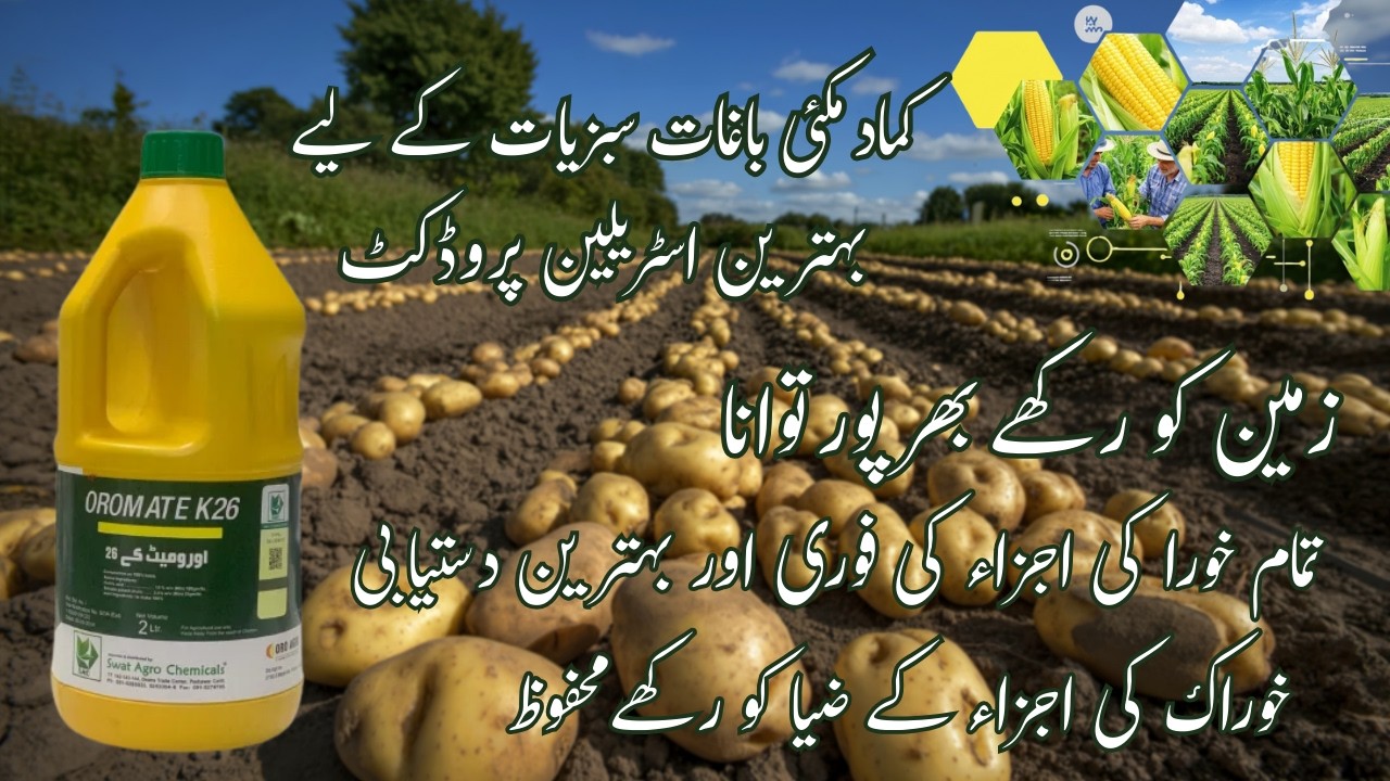 Oromate K26 2 Litre Humic Acid + Soluble Potash | Boost Crop Yield Fast | Swat agro