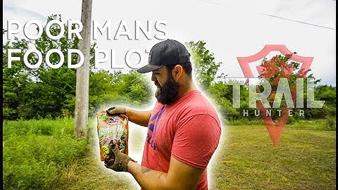 Poor mans Food Plot!