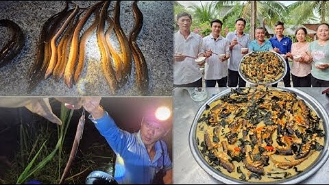 CẤM câu lươn toàn lươn khủng quá đã chú ba ơi tuyệt vời