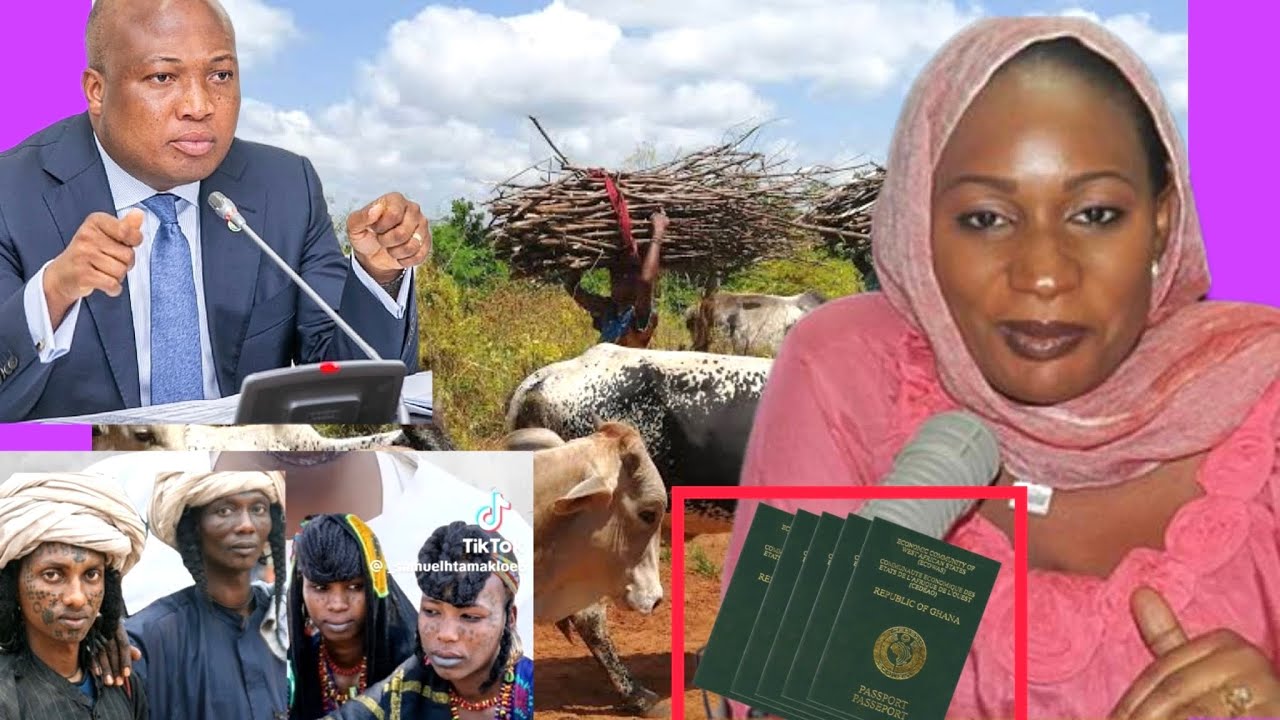 Eeii 🥹Samira Bawumia Fulani’s Warning ‼️ Ghana 🇬🇭 if” Give us Passport “ Fulani Cows Destroy Farms🥹