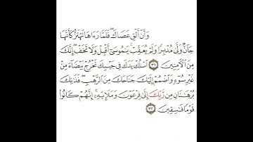 سورة القصص 12 القسم الثاني عشر تكرار كيفي من .. وأن ألق عصاك .. إلى .. قوما فاسقين