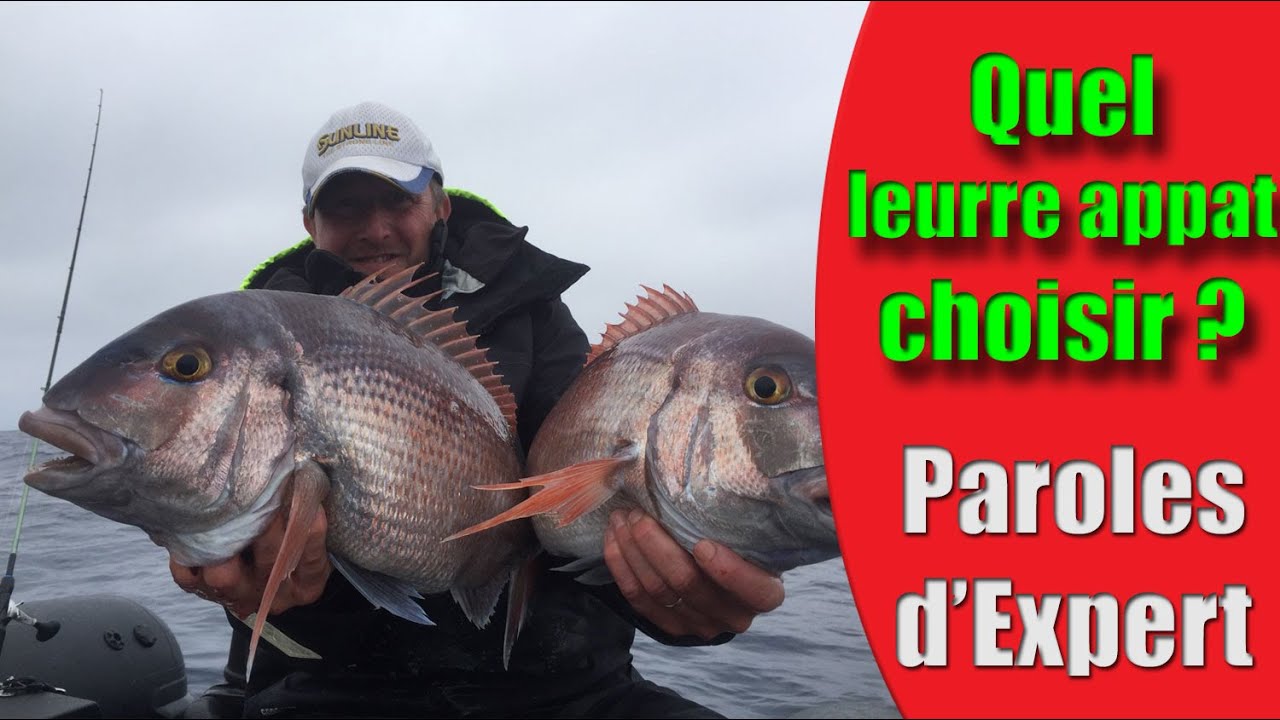 Leurres De Pêche Alomejor 5 Pièces - Queue Bouclée, Couleurs Assorties, Pour Lac/rivière/mer