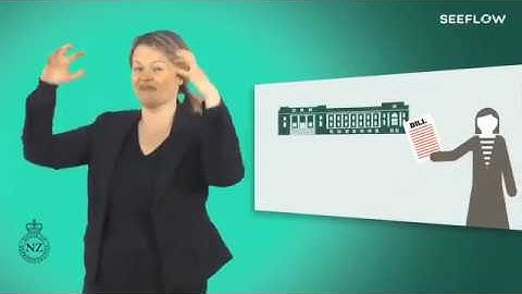 Parliament 101 NZSL Interpretation