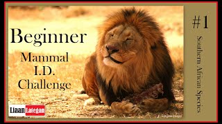 Beginner Mammal ID Challenge #1