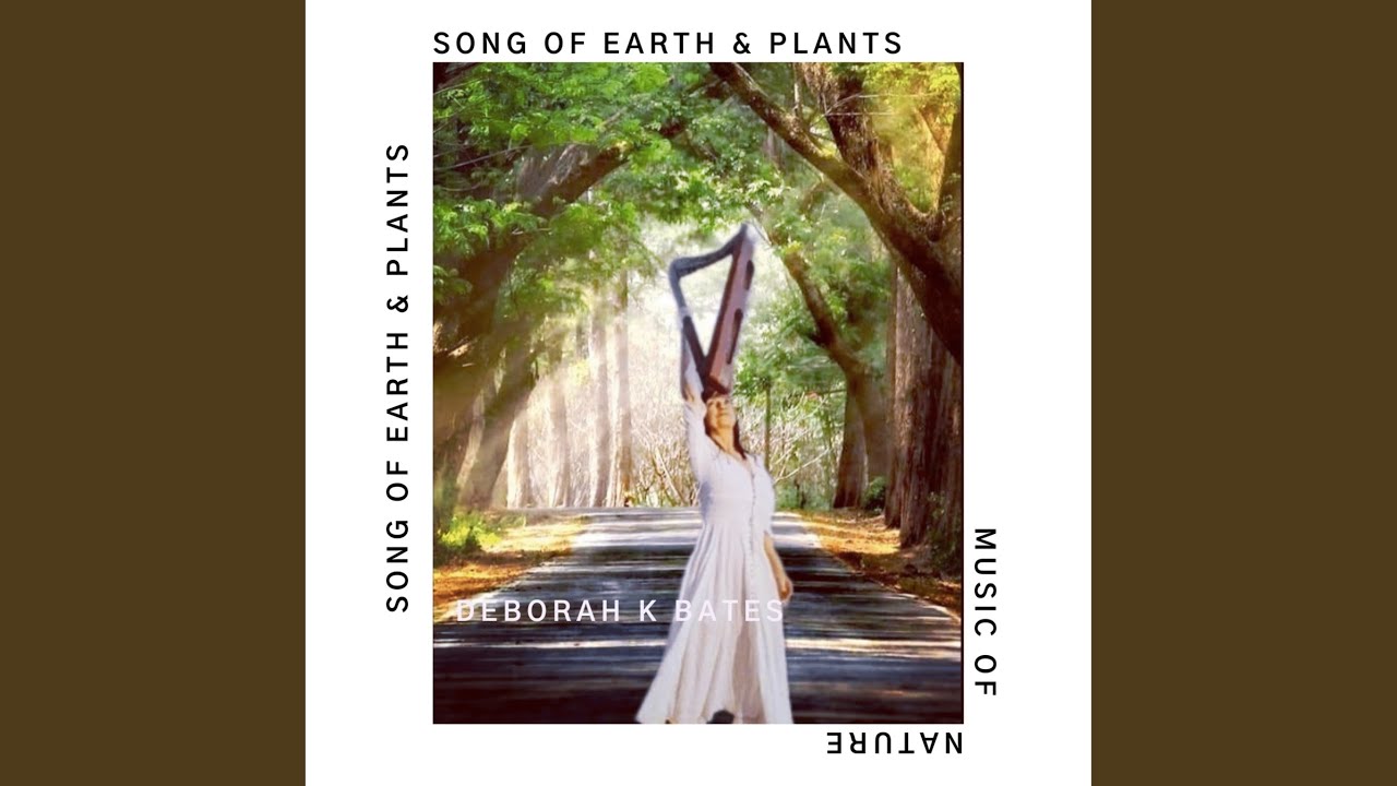 Magical Mushrooms (2023 Remastered Version)