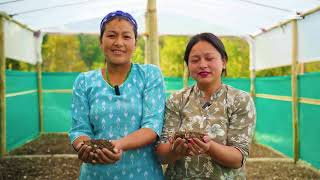 Mountains to Mangroves | Climate Resilience