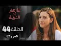 مسلسل الازهار الحزينة الحلقة 44