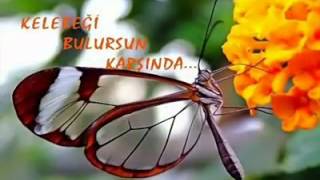 TIRTILA SEVDALANMAK