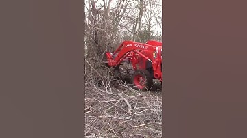 Tree Removal Power: Pulling Up Trees with a Stump Bucket!