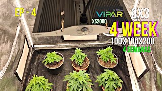 4-Week Tent 3'x3'x6.5' Indoor Grow Tent (Marijuana) Step-by-Step 100x100x200