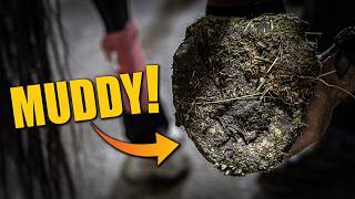 This Mud-covered Hoof Had A Hidden Problem