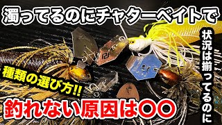 【バス釣り】チャターベイトの選び方!!ブレードの形状や種類の使い分け・使い方を解説してみた【マックスブレード】【AKチャター】【巻物】【ブレードジグ】【ジャックハンマーSB】