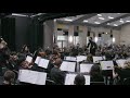 WMS Chamber Orchestra - Colors of Home (Silva)