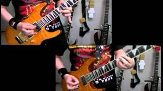 Michael Schenker - In to the Arena (cover)