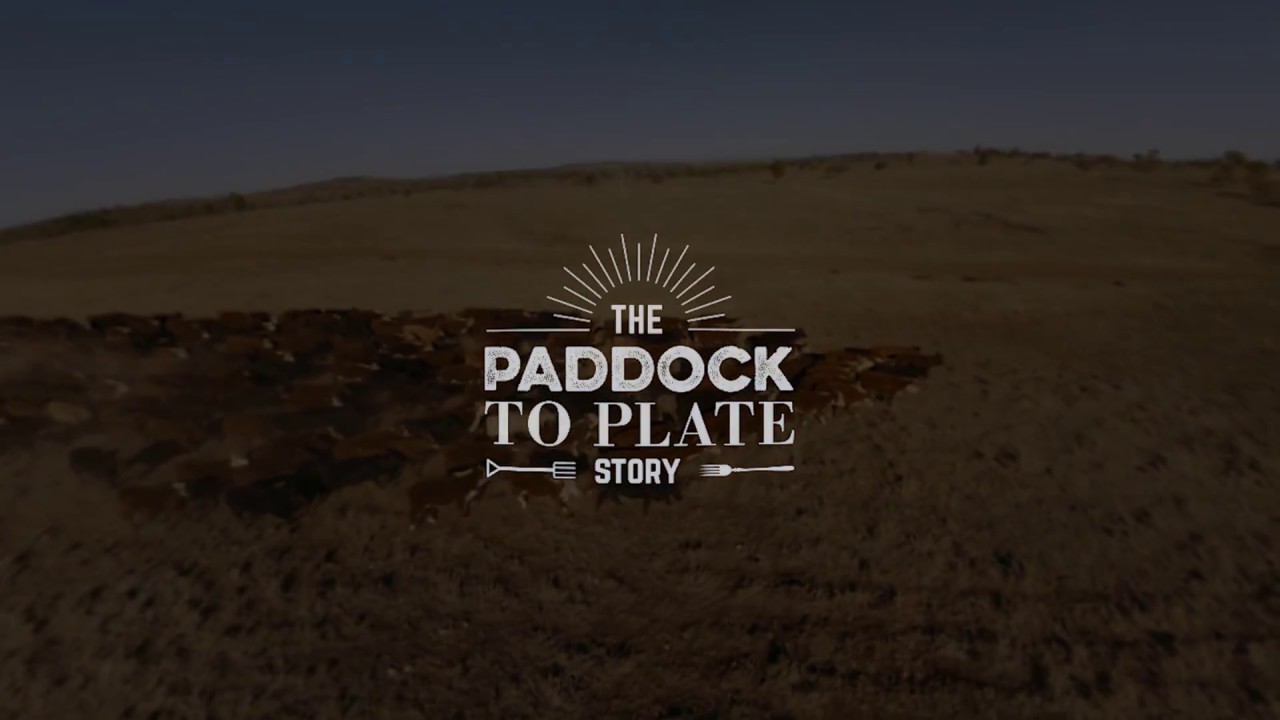 Paddock to Plate 360 Experience - YouTube