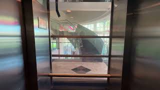 Haughton Glass Elevator at Regal Edwards Big Newport in Newport Beach, CA