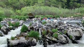 Rogue River Rainy Falls Rafting Carnage