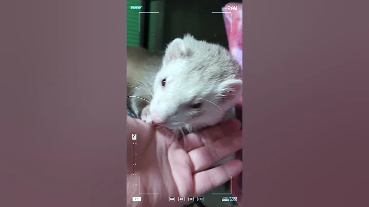 e4cSAb8AyFtvThs5KPfmME