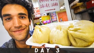 LIVING on STREET FOOD for 24 HOURS in NYC! (Day #3)