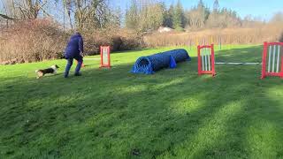 Dora Tunnel With Blind Cross