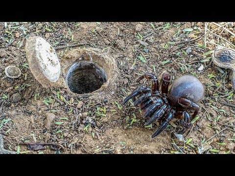 Video: Trenchless pipe laying: paglalarawan ng paraan