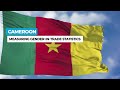 Measuring gender equality in trade statistics in Cameroon