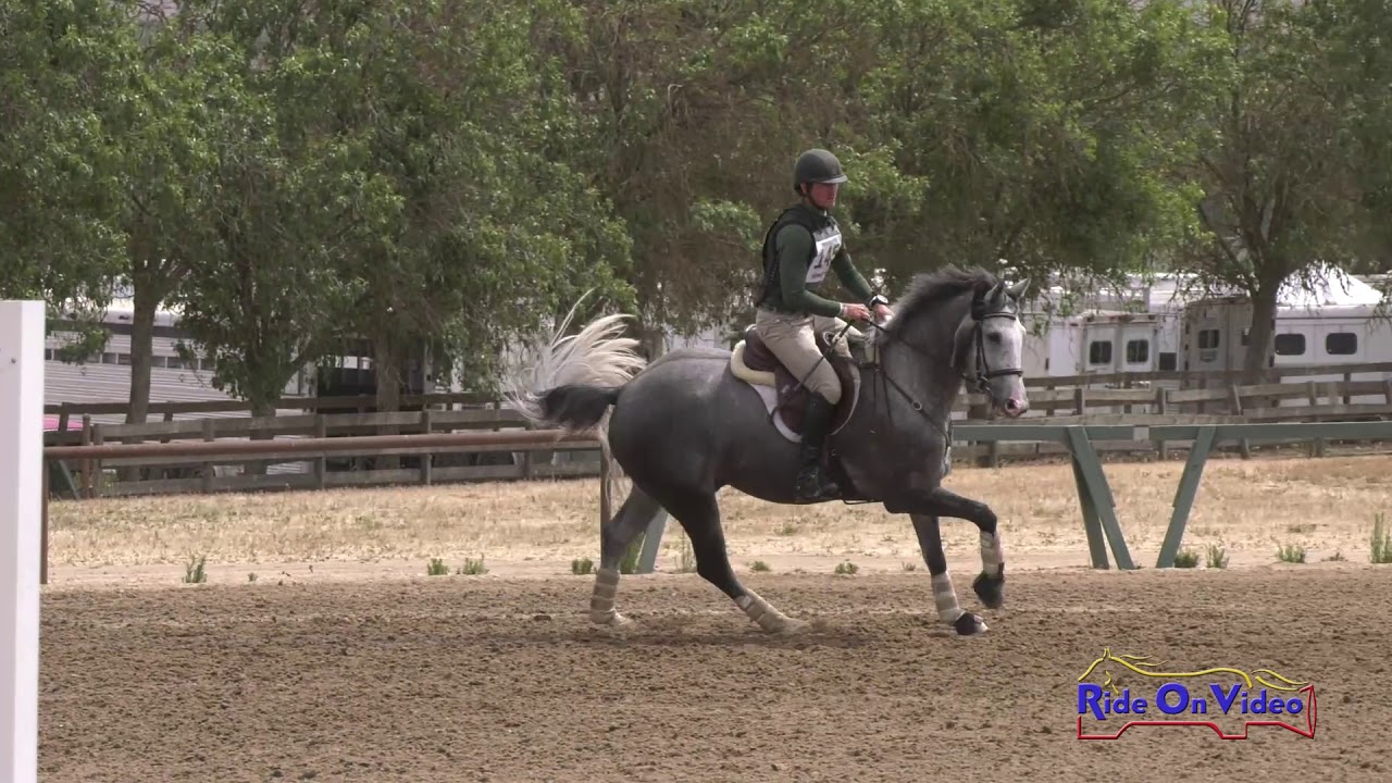 horseshoe bend 145S Joseph McKinley on Imperial Samurai Open Novice Show Jumping Twin Rivers Ranch July 2019