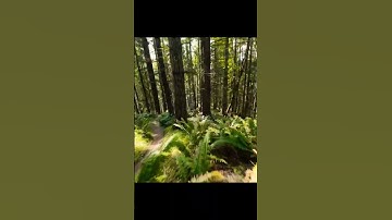 Drone Tree Crash #fpv #drone #crash