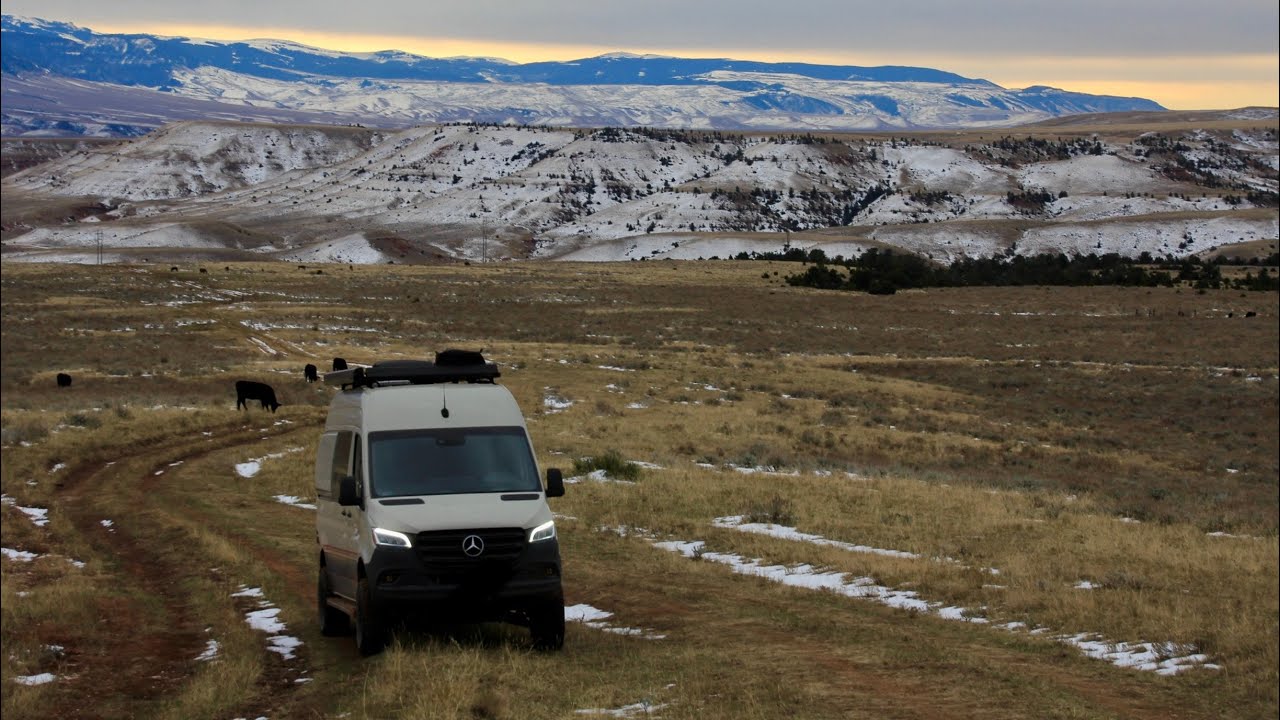 Wild Mustangs of the Pryor Mountains