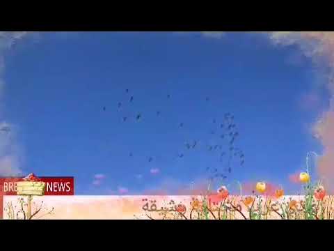 فهد الكبيسي وحاتم عمور طرتي عليتي