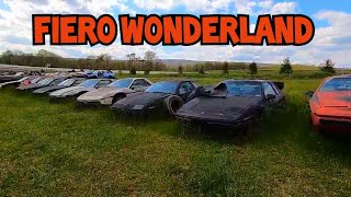 LARGEST Pontiac Fiero Junkyard In The World!!! I Think...