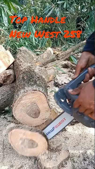 Test Baby Chainsaw Top Handle New West 258 12 Inc Guide Bar Test Baby Chainsaw Top Handle New West 258 12 Inc Guide Bar