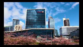 Vilnius Sakuros - Just before blooming  4K Cinematic