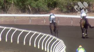 Vidéo de la course PMU ROANT HANDICAP