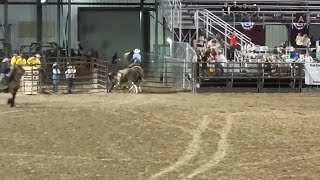 WATCH: Bull escapes rodeo arena at Utah County Fair