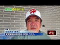 國道旁郊野成棲息地！ 綠鬣蜥亂竄險命喪輪下　專家揭背後隱憂