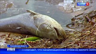 Катастрофы Химкинского водохранилища.