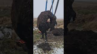WW2 PANTHER TANK COMMANDER CUPOLA #metaldetecting #digging #ww2