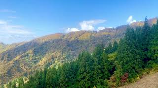 The Hakkaisan Ropeway〈1〉（八海山ロープウェイ)